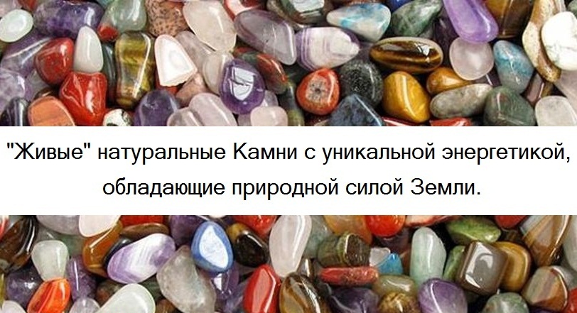 http://m080876236.myshop.one/images/upload/77777tVFiQO_g2yE77.jpg http://m080876236.myshop.one/images/upload/77777tVFiQO_g2yE77.jpg